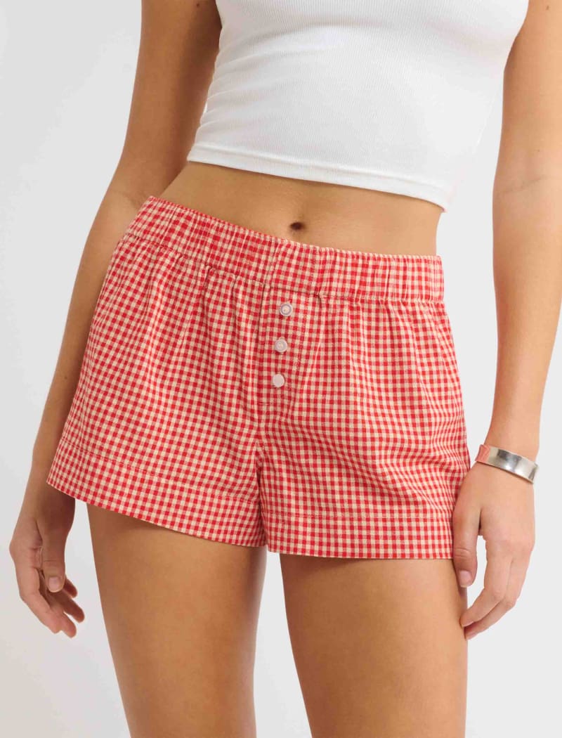 Cherry Gingham Boxer Briefs for Men