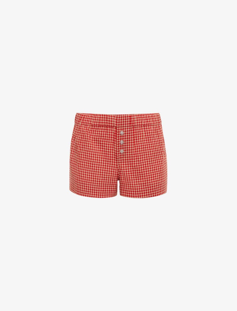 Cherry Gingham Boxer Briefs for Men