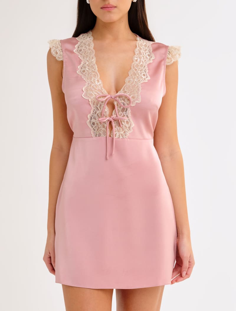 Blush Honeycomb Mini Dress - Floral Lace Design